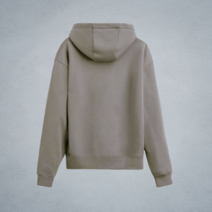 HOODIE IN COIN 2