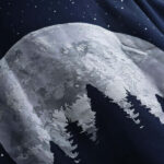 Stargazing 5