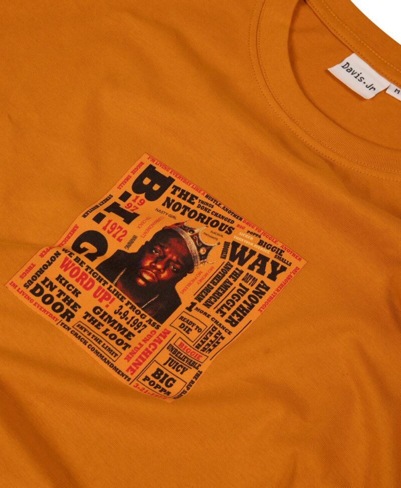 CROP T SHIRT 2