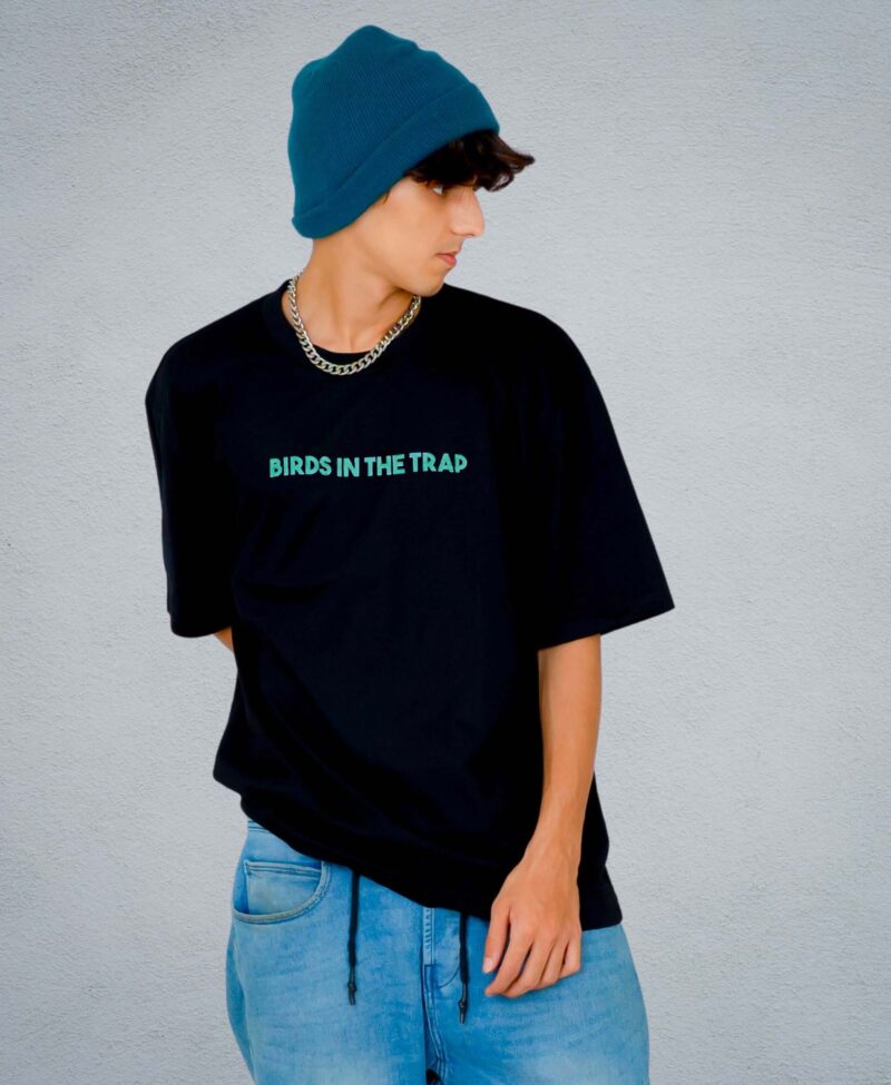 BIRD IN TRAP 2